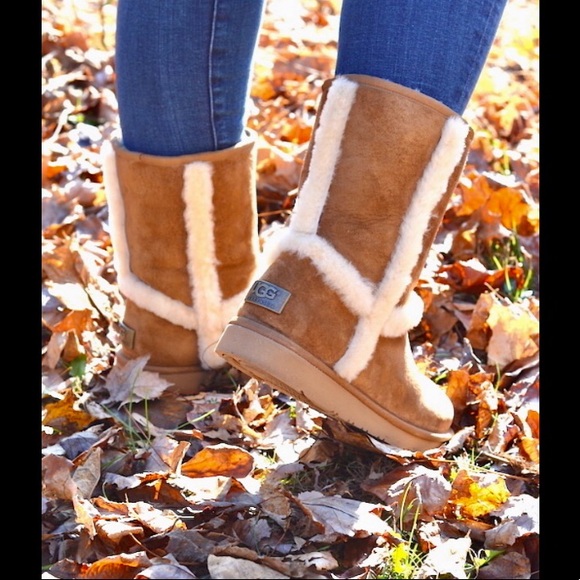 UGG Shoes - 🎄🎁UGG Pure Black Carter Boots